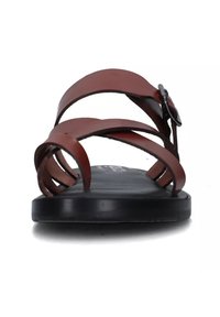 Sandali in pelle marrone con multiple cinghie incrociate, suola nera piatta e fibbia laterale per la regolazione. Texture liscia e design minimal.