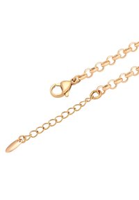 Collana in oro con maglie ovali e chiusura a moschettone su sfondo bianco.