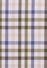 Gewebter Stoff mit einem Karomuster in hellrosa, dunkelgrün, sanftem Blau und Brauntönen, mit variierenden Linienstärken und Texturen.