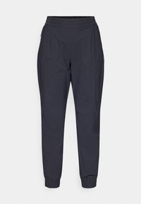 EVERYDAY EXPLORER PANT - Outdoor trousers - black