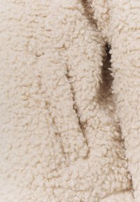 BDG Urban Outfitters Chaqueta de invierno - off-white