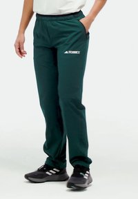 Grønne træningsbukser med elastisk talje, sidelommer og "Terrex"-logoet fremhævet i hvidt. Stoffet ser let og glat ud.