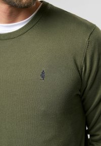 Suéter de punto verde oliva con un cuello redondo acanalado y un logo bordado en el lado izquierdo del pecho. Textura suave, diseño ajustado, mangas largas.