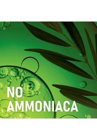 Garnier TINTA CAPELLI BELLE COLOR NATURALS COLORAZIONE PERMANENTE SENZA AMMONIACA AL 90% DI ORIGINE NATURALE - 2 PACK - Tinte capelli - castano luminoso (4.13)