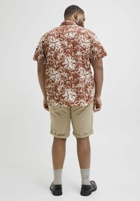 Lühikeste varrukatega pruun lilleline särk valgete aktsentidega, koos keritud beežide lühikeste pükstega. Mustad kingad ja hallid sokid täiendavad rõivakomplekti.