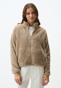 Fluffy beige zip-up jack met een hoge kraag, lange mouwen en een zachte textuur, met een subtiele glans en zonder zichtbare patronen of versieringen.