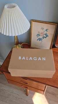 Ruda kartono dėžė su užrašu "BALAGAN" ant medinio stalo, šalia jos yra raukšlėta balta lempučių gaubtas ir rėminta gėlių tapyba.
