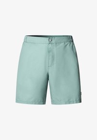 Pantalones cortos para hombre de color verde claro con cierre frontal de botón y cremallera, corte de pierna recta y cintura trasera elástica.