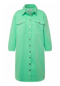 Vestito camicia verde a maniche lunghe in cotone, con due tasche frontali, bottoni in argento e colletto.