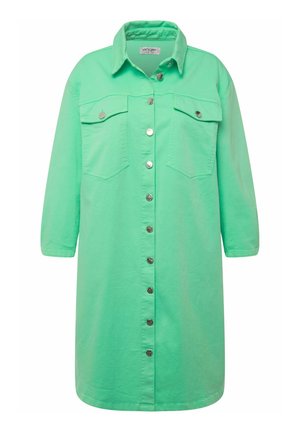 Groene button-up shirt jurk van katoen, met lange mouwen, twee voorzakken, zilveren knopen en een kraagvormige halslijn.