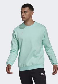 Lys mintgrøn sweatshirt med lange ærmer og rund hals, der har en tekstureret overflade og et diskret logo på brystet.