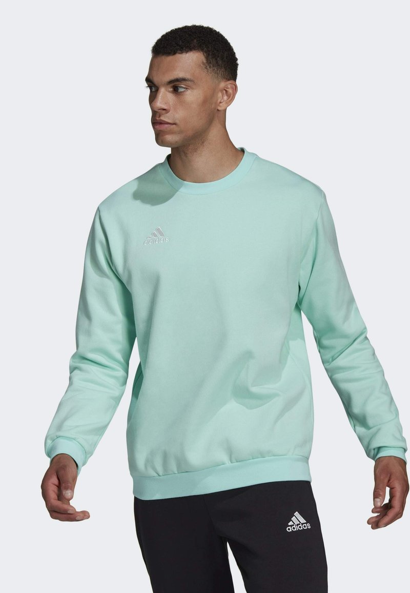 Lys mintgrøn sweatshirt med lange ærmer og rund hals, der har en tekstureret overflade og et diskret logo på brystet.