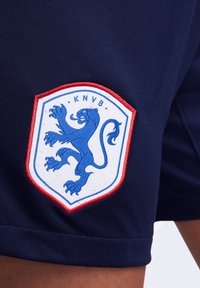 Nike Performance Nationalmannschaft - blauweiss