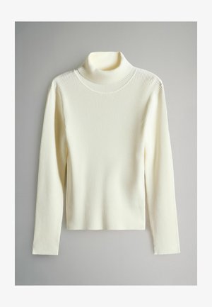 Hladký rolák v odtieňoch off-white. Má dlhé rukávy, vysoký golier a priliehavý strih vyrobený z jemnej pleteniny.