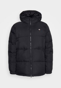 WALDENBURG HOODED - Winter jacket - black