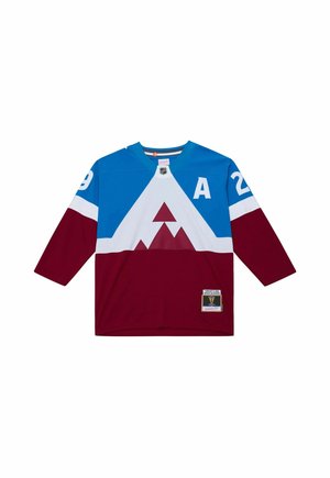 Blue, white, and burgundy hockey jersey with mountain design, number 29 on sleeves, and letter A on chest.