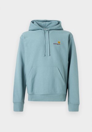 Light blue pullover hoodie, cotton blend, features a kangaroo pocket, adjustable drawstring hood, and embroidered logo on the chest.