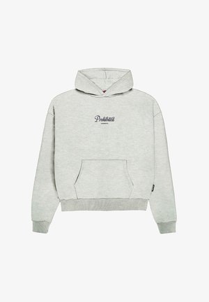 PROHIBITED GARMENT - Kapuzenpullover - greymelange