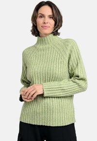 Grün gestreifter Rollkragenpullover mit langen Ärmeln und strukturiertem Finish, mit hohem Ausschnitt und leichten seitlichen Schlitzen am Saum.