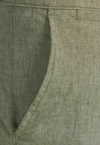 Lekki, oliwkowozielony lniany spodnie z boczną kieszenią i teksturowaną powierzchnią, prezentujące klasyczny krój i subtelne detale szwów.