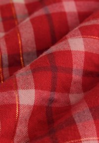 Tessuto a quadri rosso e bianco con una texture morbida, arricchito da un sottile filo dorato che attraversa il motivo.
