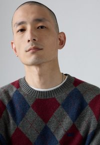 Pullover aus grauem Wolle mit einem rot-blauen Karomuster, ausgestattet mit einem gerippten Ausschnitt und dezentem Logo-Detail an den Säumen.