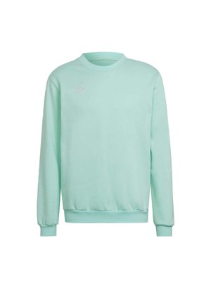 ENTRADA  - Sweatshirt - turquoise