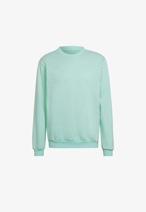 Mint green sweatshirt with a crew neckline, long sleeves, and ribbed cuffs. Features a small white logo on the left chest area. Soft fabric texture.