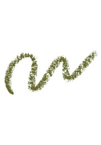 Linea verde, texture con un motivo ondulato, che ricorda un colpo di pennello, su uno sfondo bianco.