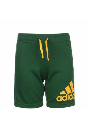 Pantaloncini sportivi - dark green