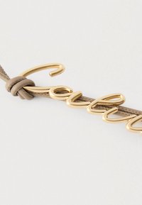 Γράμματα με χρυσό τόνο που σχηματίζουν τη λέξη «Lady», προσαρτημένα σε λουρί από δέρμα ταμπά με έναν κόμπο, σε λευκό φόντο.