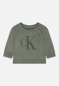 Calvin Klein Jeans - NEWBORN FLUFFY MONOGRAM LOGO UNISEX - Pulover - meteor green Miniaturna slika 1