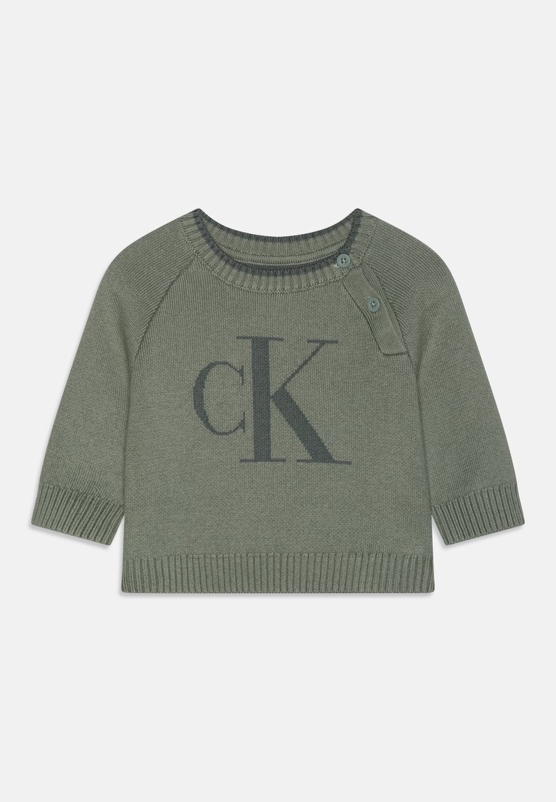 Calvin Klein Jeans - NEWBORN FLUFFY MONOGRAM LOGO UNISEX - Pulover - meteor green, Povečajte