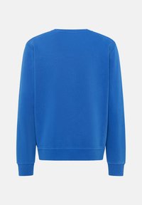 Blauwe sweatshirt met lange mouwen, ronde hals, ribbelboorden en -zoom. Gemaakt van zachte stof met een gladde textuur. Geen patronen of graphics.