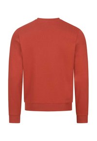 Roter Pullover mit langen Ärmeln, geripptem Kragen und Bündchen. Glatte Textur und einfaches Design, in einfarbigem Stil ohne Muster.