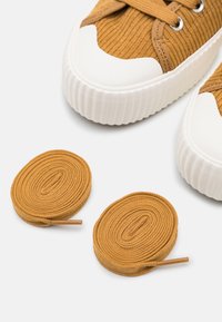 Brązowe trampki z prążkowanej tkaniny mają białe gumowe podeszwy i oczka. Obok znajdują się dwa brązowe sznurówki z plastikowymi końcówkami.