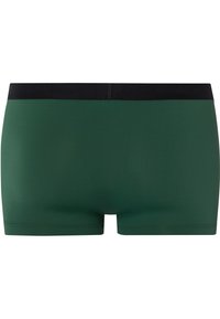 Hanro MICRO TOUCH - Boxerkalsong - leaf green