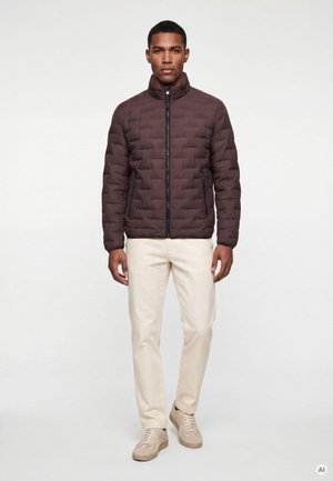 Mann steht und trägt eine braune gesteppte Jacke mit Reißverschluss, cremefarbene Hose und beige Sneakers vor einem einfarbigen weißen Hintergrund.