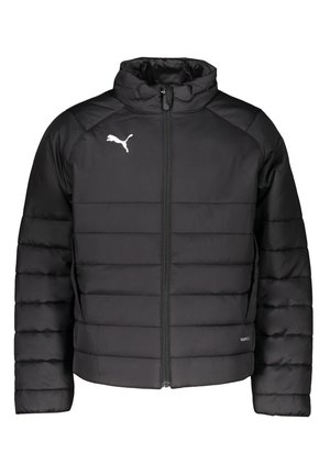 FUSSBALLTEAMLIGA PADDED K - Winterjacke - schwarz