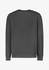 Cars Jeans SAMIE CREWNECK BOTTLE - Sweater - antra