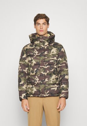 HOODIE JACKET - Winterjacke - dark olive