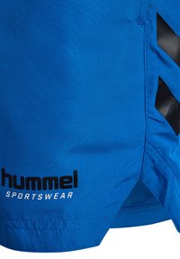 Blå sportshorts gjorda av lättviktig textil, med en svart logotyp och ett chevronmönster på sidan. Slät textur med ventilerad nederkant.