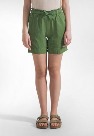 Shorts - green