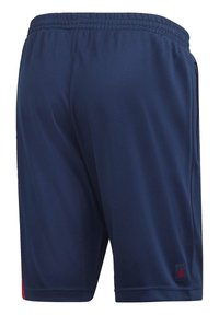 Granatowe szorty sportowe z elastycznym paskiem, gładką fakturą i bocznymi kieszeniami na zamek. Ozdobione czerwonym akcentem po lewej stronie oraz naszywką z logo.