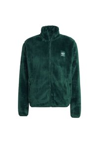 Chaqueta verde peluda con cremallera, cuello alto y bolsillos delanteros. Presenta un pequeño logo blanco de Adidas en el pecho izquierdo. Textura suave.