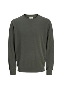 Grüner Strickpullover mit rundem Halsausschnitt, langen Ärmeln, gerippten Bündchen und Saum. Enthält ein Etikett mit der Aufschrift "R.D.D." innen.