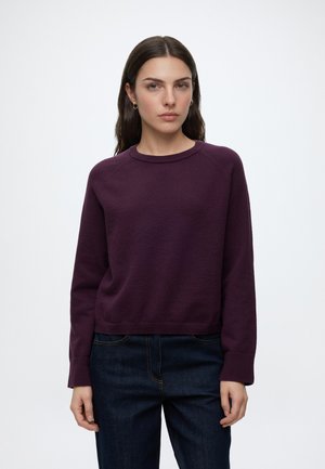 Woman with long brown hair wearing a dark purple sweater and dark blue jeans standing against a plain white background.