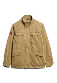 Niewybrane, sandstone brown