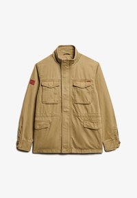 Niewybrane, sandstone brown