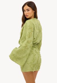 Robe verte texturée avec des détails à franges, des manches longues et une silhouette ajustée. Elle arrive au-dessus du genou et possède une finition lisse.